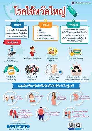 โรคไข้หวัดใหญ่